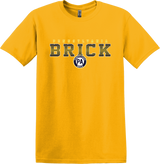 PA Brick Softstyle T-Shirt