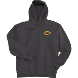Chelsea Chiefs Ultimate Cotton - Pullover Hooded Sweatshirt